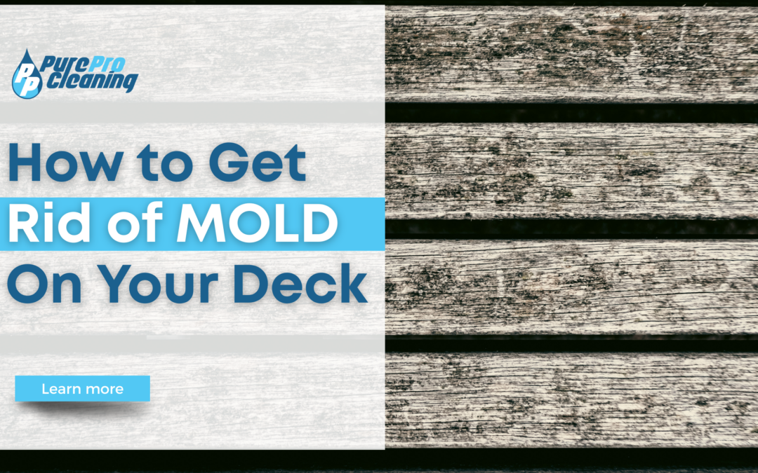 How to Get Rid of Mold on Your Deck in Grand Rapids