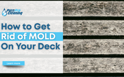 How to Get Rid of Mold on Your Deck in Grand Rapids